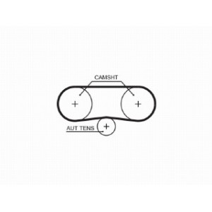 Kit cinghie dentate