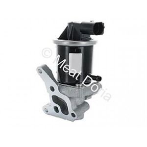 Valvola egr sost. da 88294