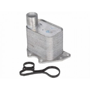 Radiatore olio (nudo)