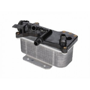 Radiatore olio bmw 5 (f10) 10 