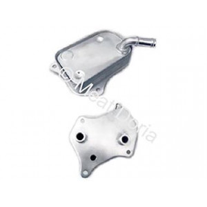 Radiatore olio a4/a6/passat