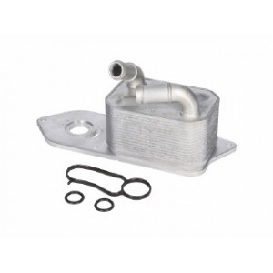 Radiatore olio ford transit...