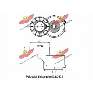 Tendicinghia, cinghia poly-v
