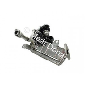 Valvola egr con collettore $
