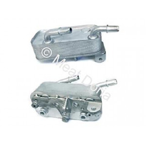 Radiatore olio bmw 5 95 