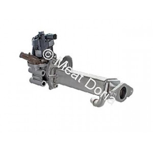 Valvola egr con collettore